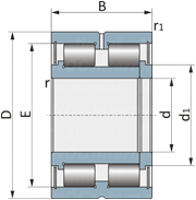 NAG 4913
