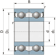 61806/C3DT-2RS1/GWY