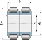 R 06A17 D2PX1